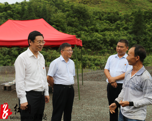 顾晓敏到中溪村养蜂基地与养蜂农户亲切交谈水.jpg