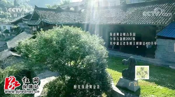 微信图片_20200930163301.jpg
