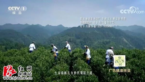 微信图片_20200930163236.jpg