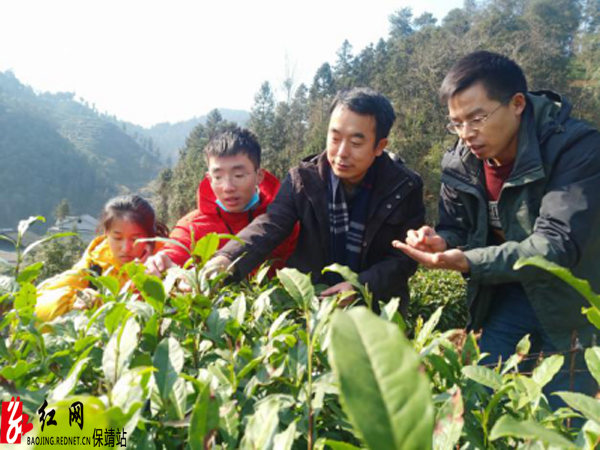 图片 1水.jpg
