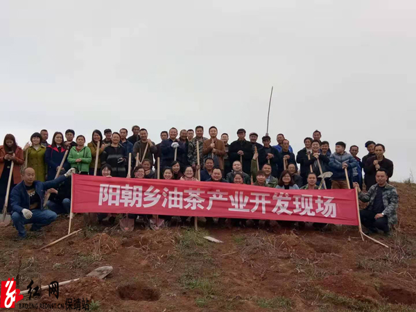 油茶产业开发现场水.jpg 油茶产业开发现场水.jpg