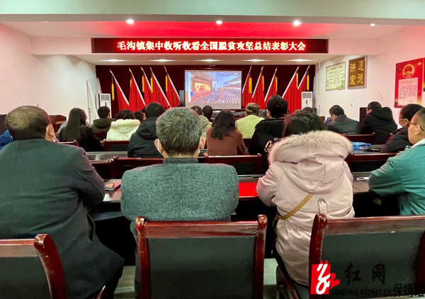 毛沟镇集中收听收看全国脱贫攻坚总结表彰大会水.jpg