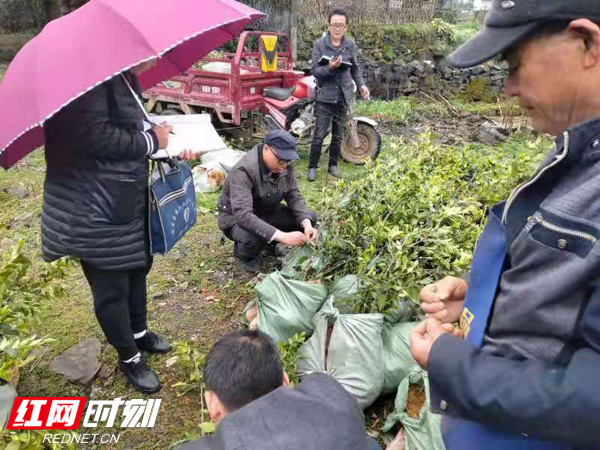 图片 2水.jpg