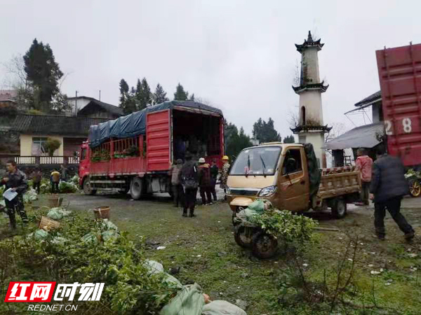 图片 1水.jpg