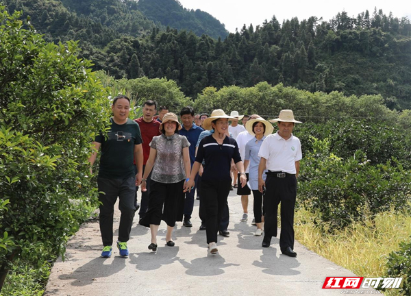 图片 1 副本.jpg 图片 1 副本.jpg