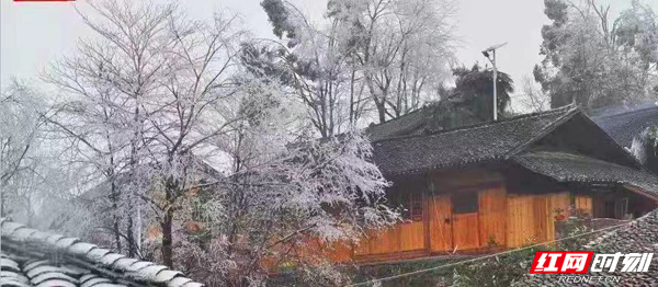 雪景1.jpg