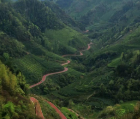 保靖县葫芦镇国茶村:乡村农家乐 增收新亮点