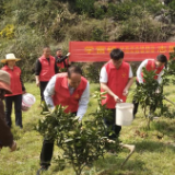 保靖县机关事务服务中心“‘雷锋季’弘扬雷锋精神服务村集体经济推动乡村振兴发展”开展志愿服务活动