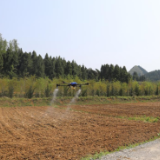 保靖：农机农技携手科技先行助力大豆玉米带状复合种植