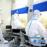 组图 | 每天重复拧盖1400次 核酸检测报告是这样产生的