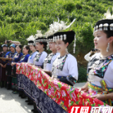 保靖黄金茶春茶上市节启动两位奥运冠军助力乡村振兴