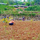 保靖县普戎镇:敲门再行动,牢牢守住安全生产、疫情防控、耕地保护“生命线”
