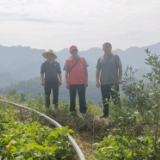 保靖县老科协:退休不退责 余热献“三农”