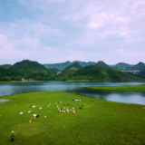 芙蓉国评论:凝聚民族复兴的人民伟力