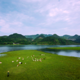 芙蓉国评论丨牢记共产党员第一身份