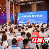 岳麓峰会系列评③:风起“云”涌,用数字之光照亮未来之路