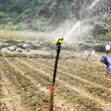 茶市村以蔬菜产业答集体经济发展之问