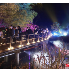 春节期间保靖文旅市场全面复苏 喜迎“开门红”