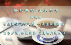 茶韵保靖·山水华章