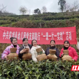 保靖县幼儿园党支部开展“一课一片一实践”活动