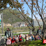 保靖县教育幼儿园:“幼”见春天快乐“童”行