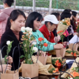 保靖县财政局开展“巾帼向党花语廉心”庆三八主题活动