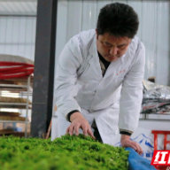 熊国森:带领群众共奔富路