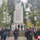 保靖:清明祭扫进陵园 红色教育“活”起来