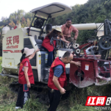 保靖:农机田间服务助农秋收