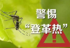湘西州疾控中心教你如何防控登革热!