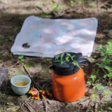 卢瑞龙|一天,是不是一生