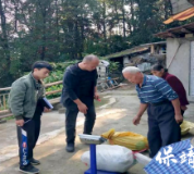 增量提质拓销路 驻村助农暖民心——蓬桂村工作队驻村纪实