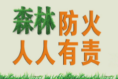 保靖县迁陵镇:持续做好森林防灭火工作