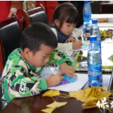 保靖选调生:奏响环保绿色“酉声”强音