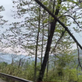 保靖县普戎镇：除隐患   保安全