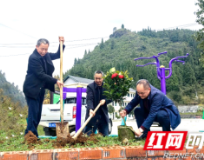 保靖县迁陵镇杨家村:绿意盎然 共筑美丽乡村