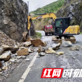 保靖县清水坪镇：扛牢防汛责任  筑牢安全堤坝