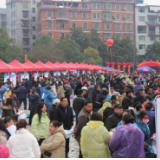 优化营商环境保靖在行动 | 湖南保靖县:提升营商环境 助力民企招工 启动民营企业招聘月活动