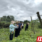 州残联党组书记、理事长刘红玉一行来保靖调研残疾人创业就业情况