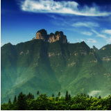 保靖县吕洞山镇黄金村黄金茶产业调研报告