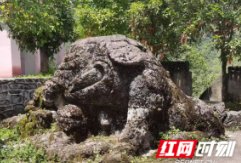 保靖县新发现一处文物点:笔架山“象”形石刻