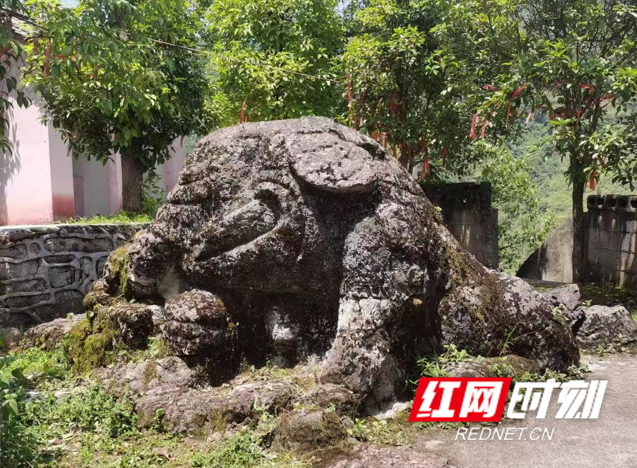 图片2.jpg