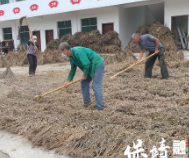 保靖县碗米坡镇:金秋时节,产业发展助力乡村振兴