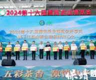保靖在2024第十六届湖南茶业博览会上获评“新质生产力”十强先行县等多项殊荣