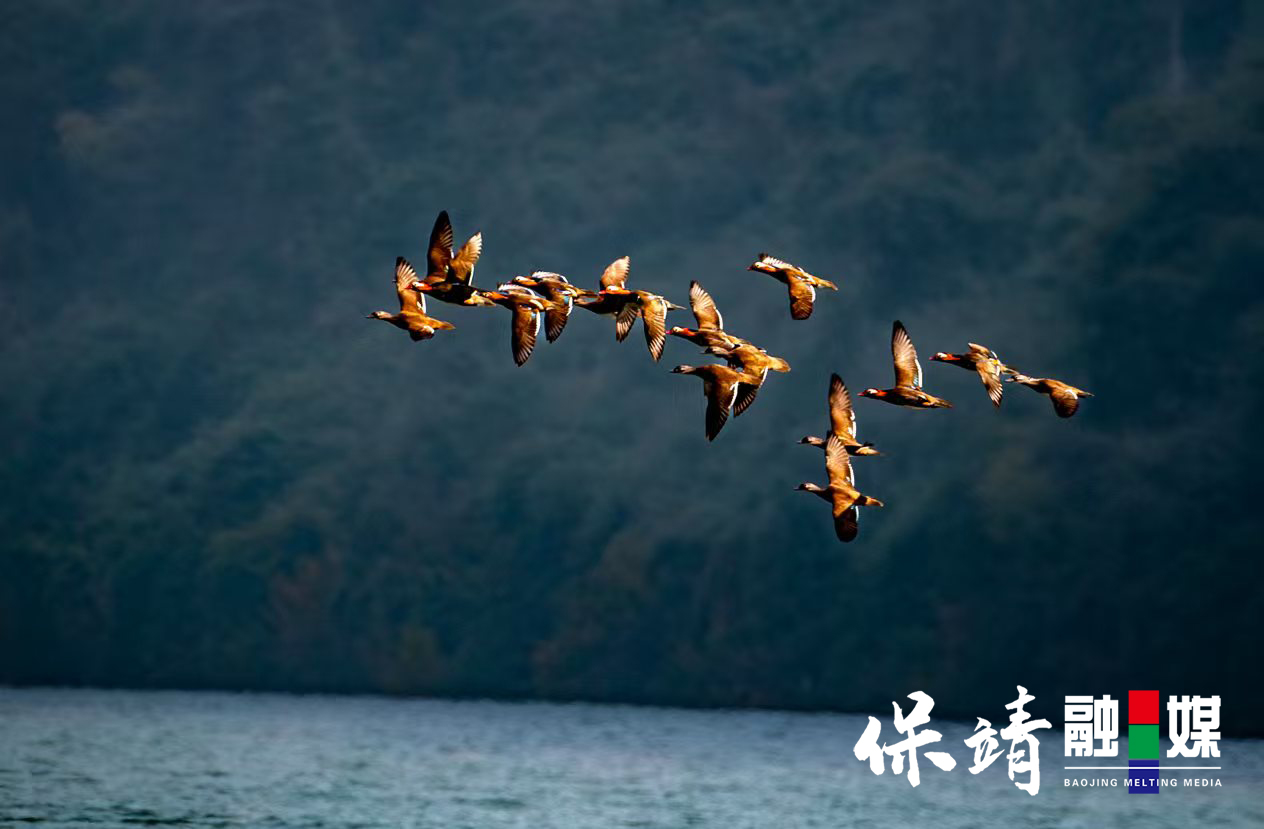 微信图片_20250124190130.jpg