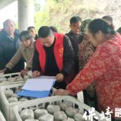 评比“最美农家”赋能庭院经济