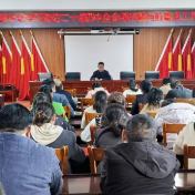 学深学透悟要义,真抓真干促发展