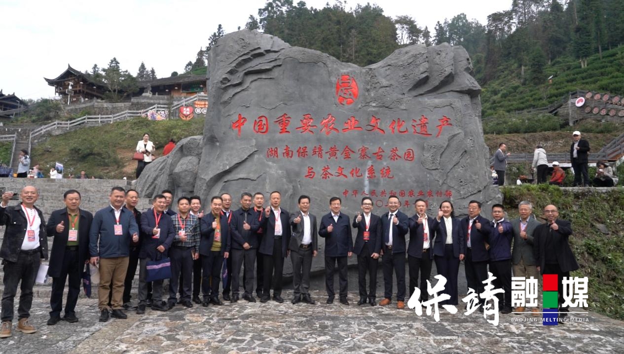 1761734894487_batch_1_1761734961375.jpg 1761734894487_batch_1_1761734961375.jpg