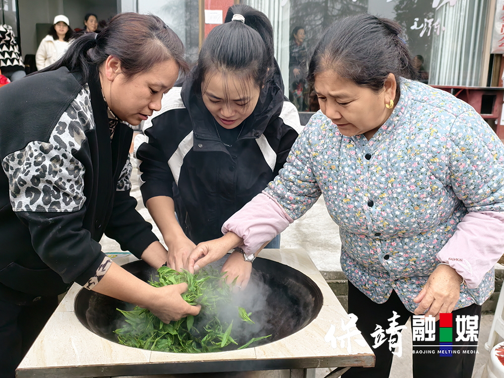 图片1.jpg 图片1.jpg