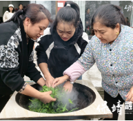 茶香漫古城 技能富农家——保靖县清水坪镇魏家村就业技能培训点燃乡村振兴新“茶”能
